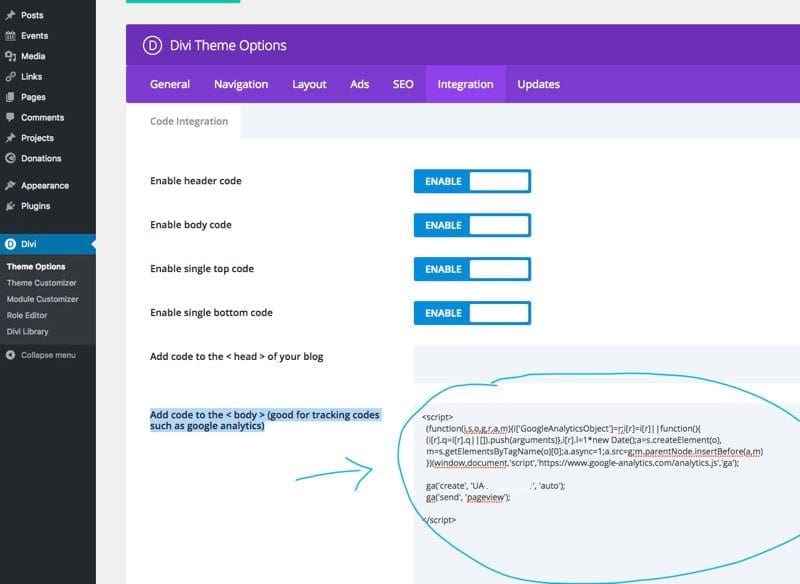 divi-analytics-google-easy-1
