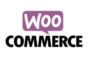 eCommerce WordPress Website