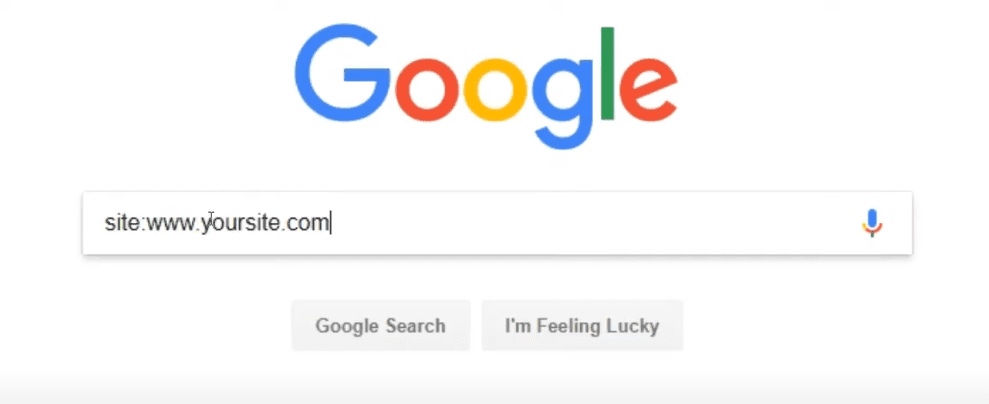 Google Search Results